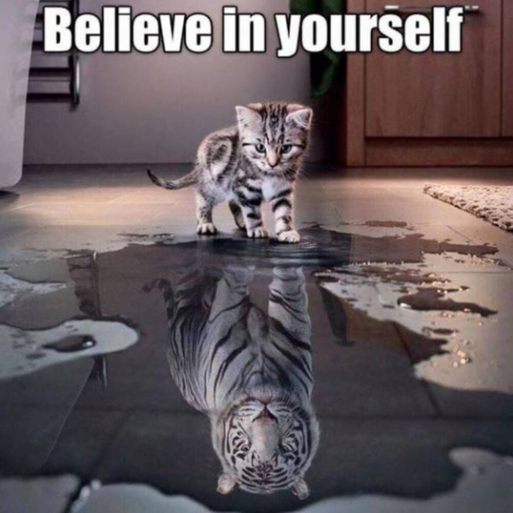 Meet your Posher, Lisanoelan